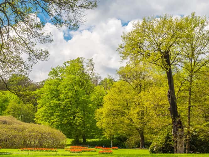 Muskauer Park