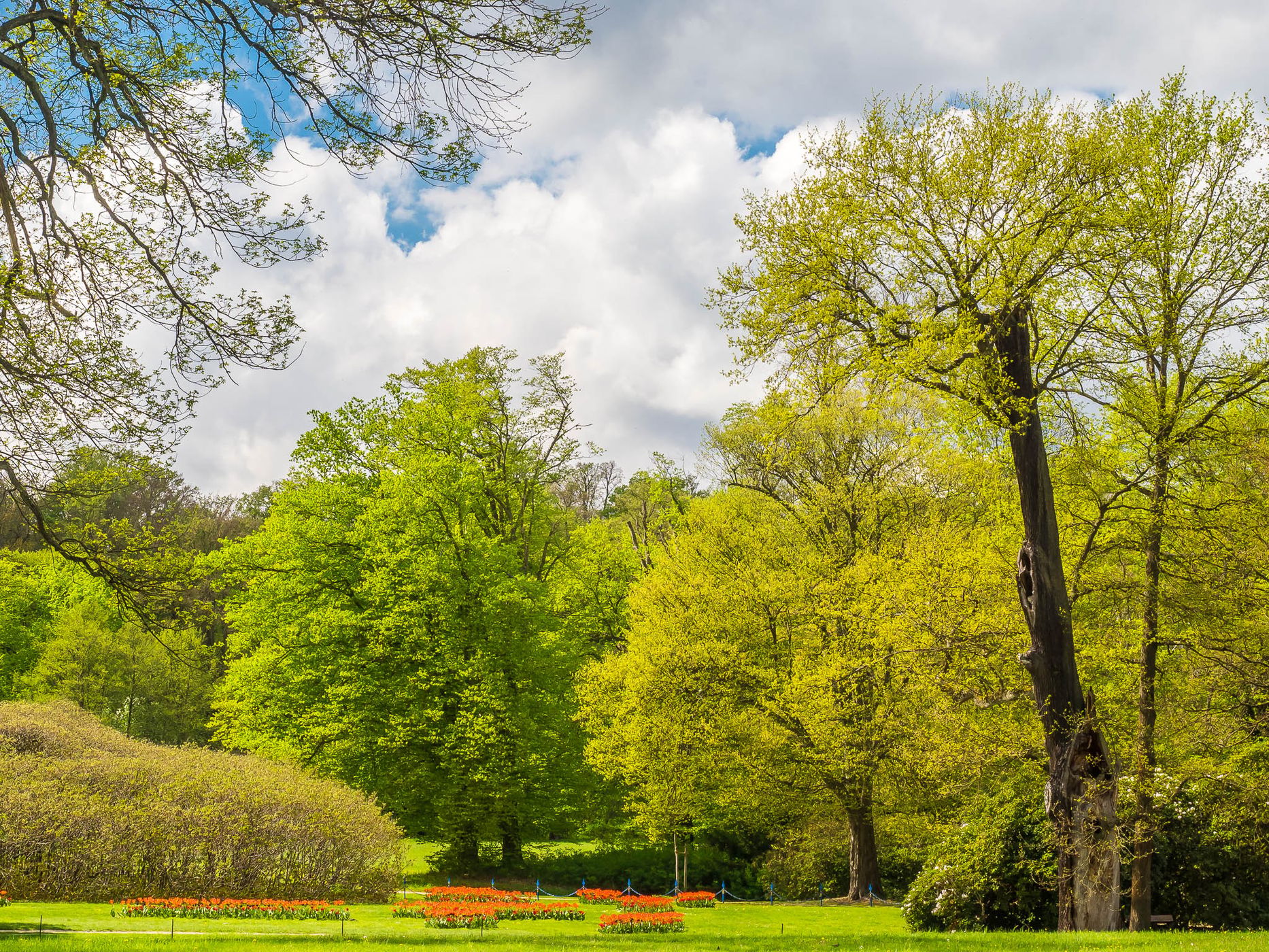Muskauer Park, Germany