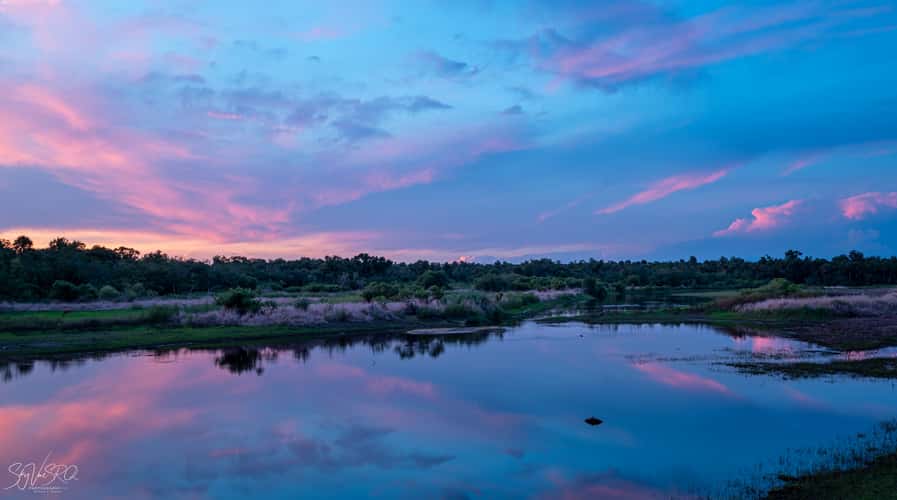Myakka River State Park