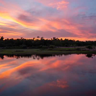 Myakka River State Park, USA
