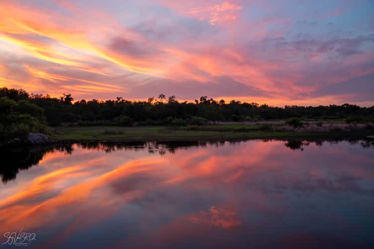 Myakka River State Park