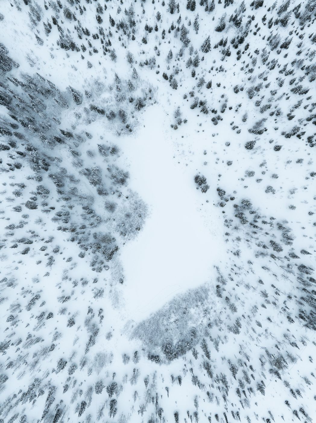 Neitokainen, Finland