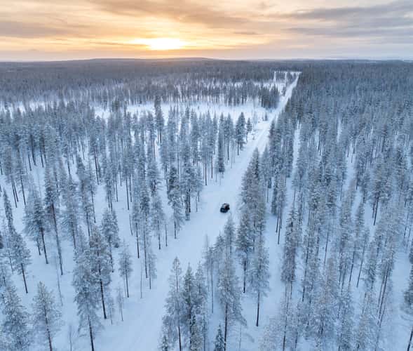 Nice road in the Finnish forest
