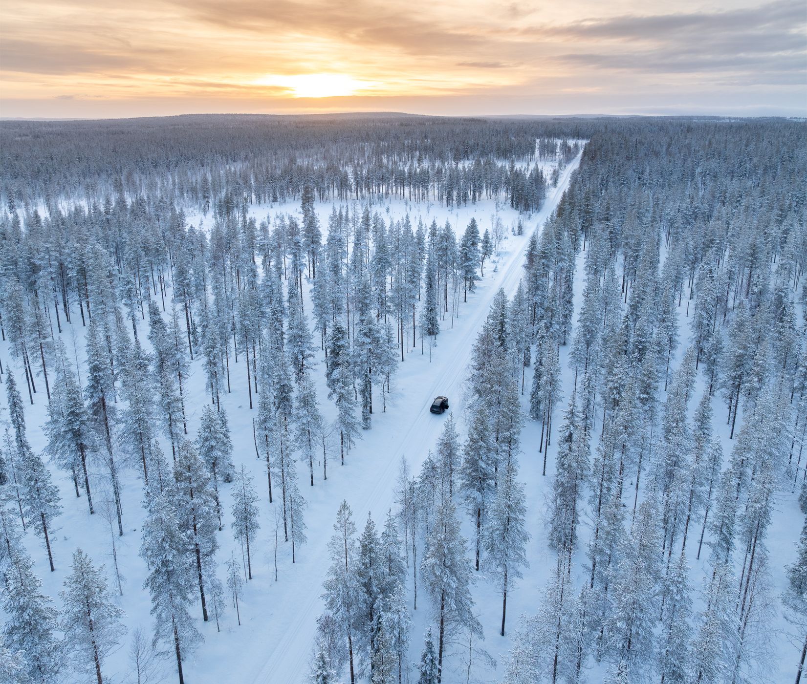 Nice road in the Finnish forest, Finland