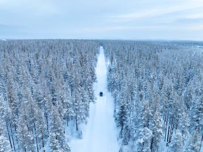 Nice road in the Finnish forest