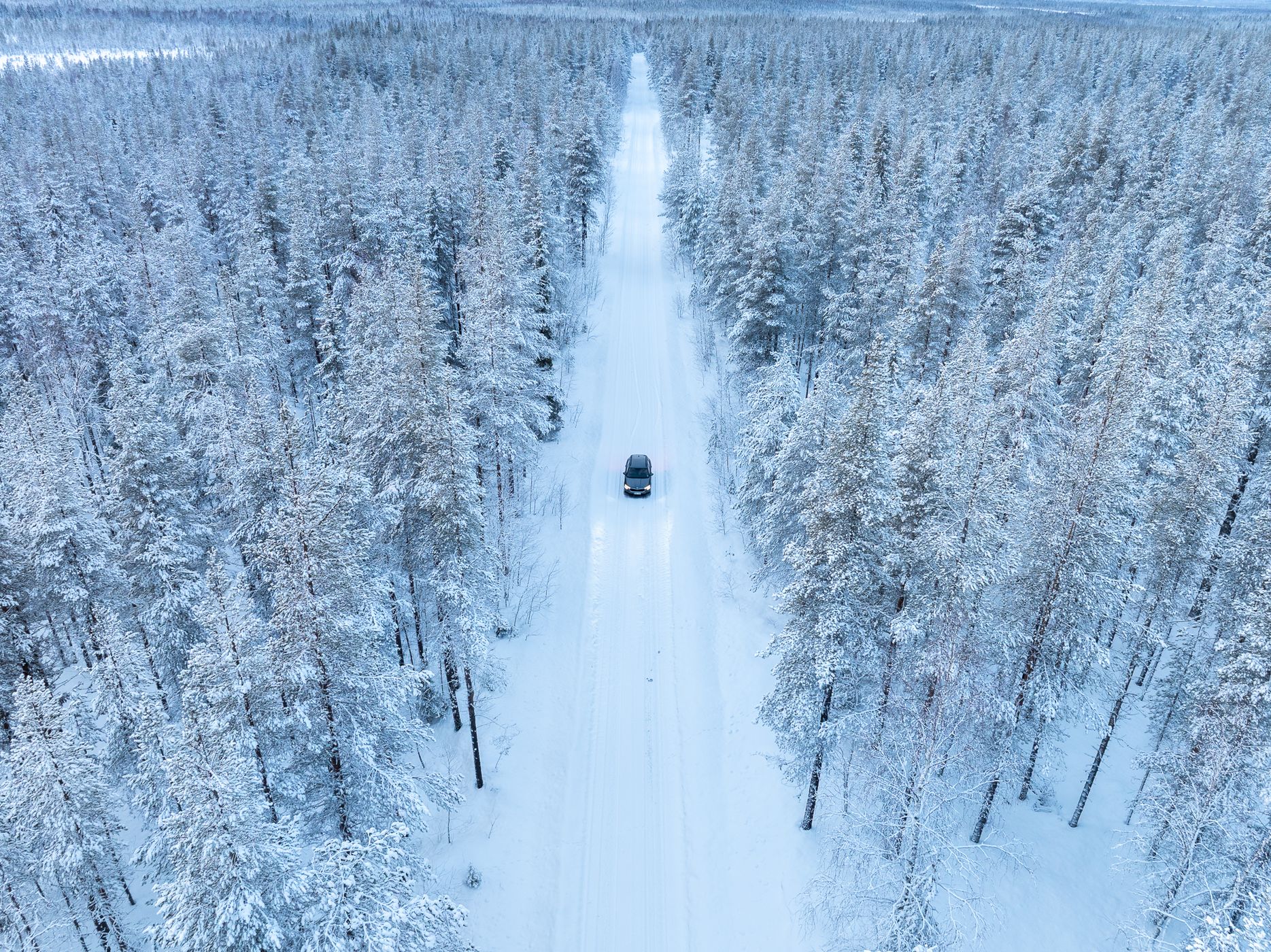 Nice road in the Finnish forest, Finland