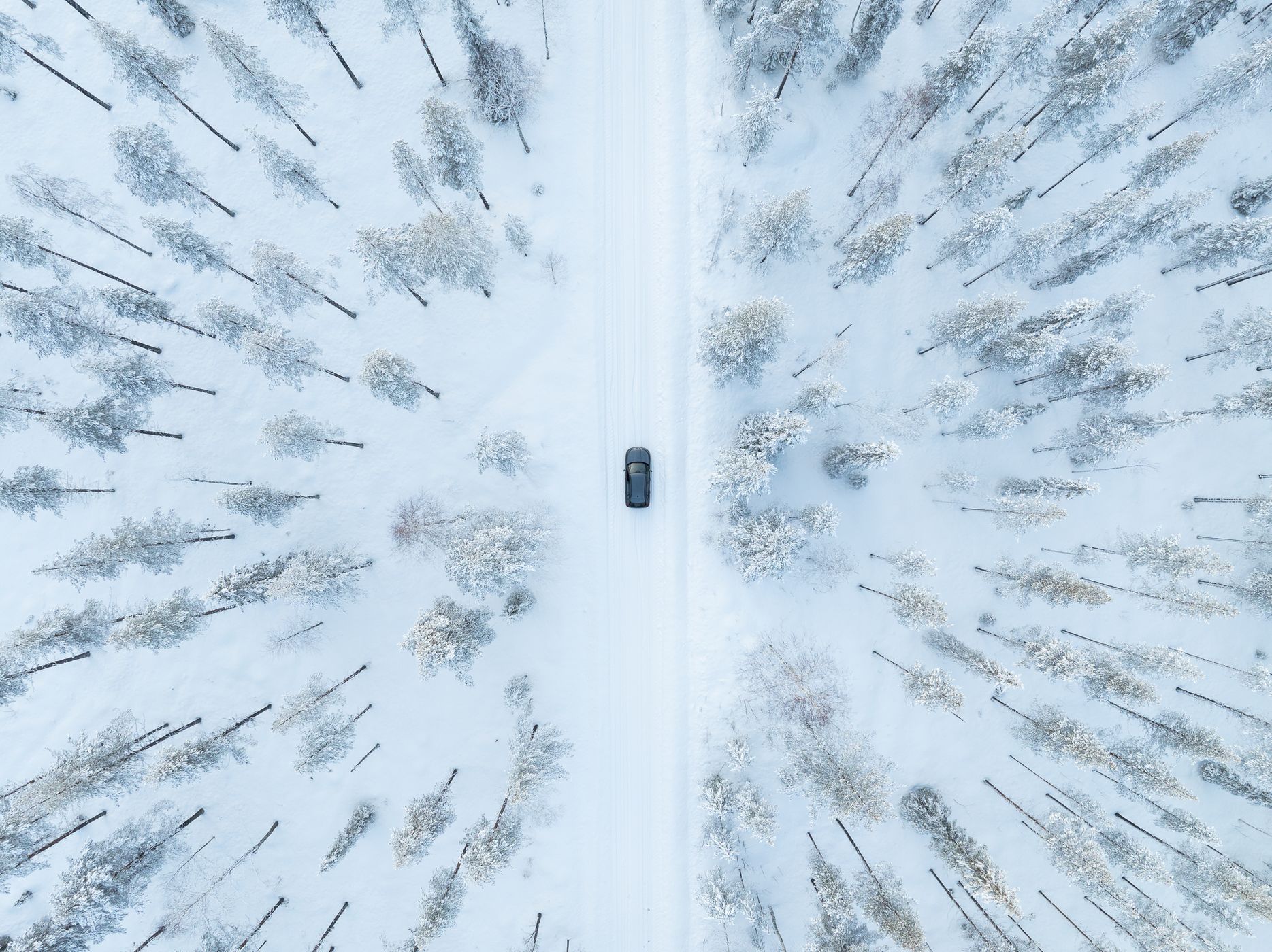 Nice road in the Finnish forest, Finland