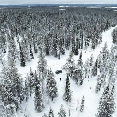 Nice road in the Finnish forest, Finland