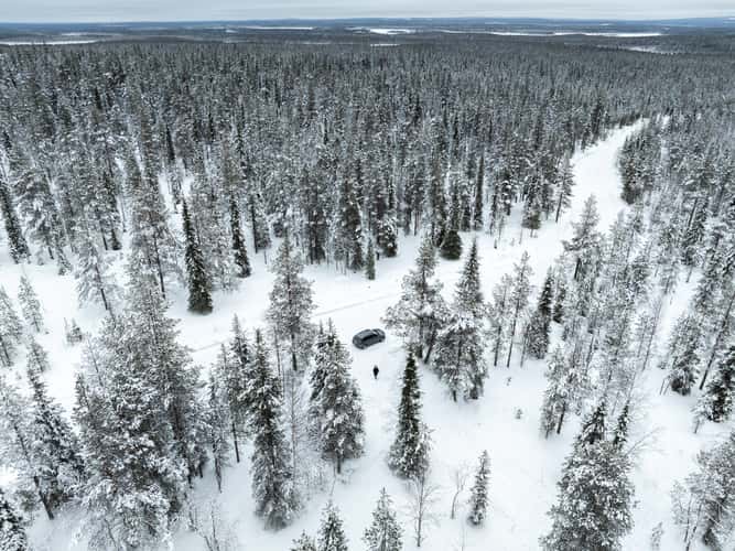 Nice road in the Finnish forest