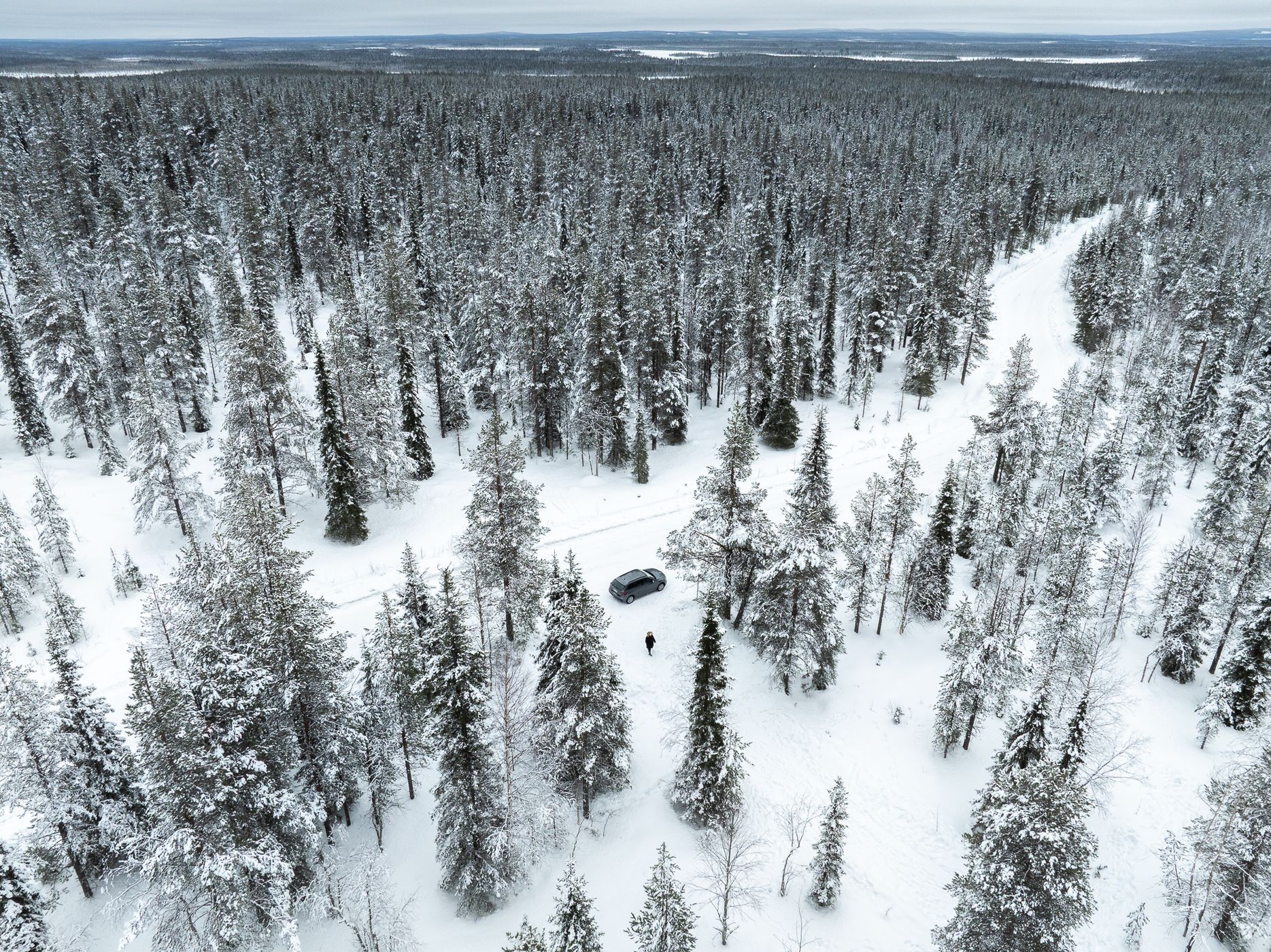 Nice road in the Finnish forest, Finland
