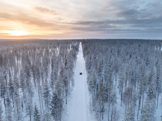 Nice road in the Finnish forest