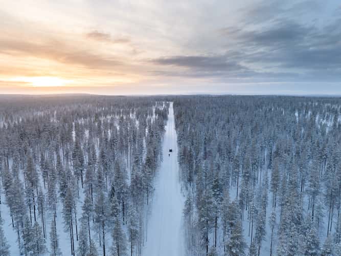 Nice road in the Finnish forest