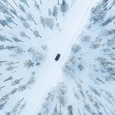 Nice road in the Finnish forest, Finland