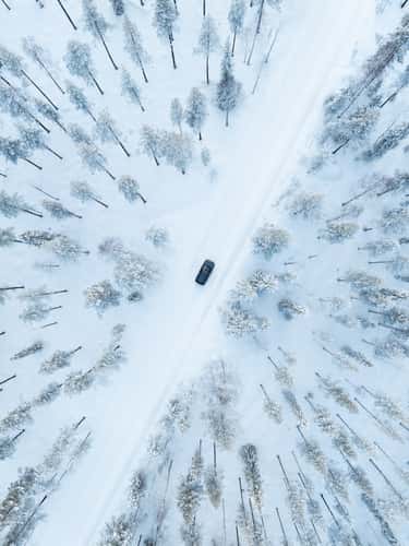 Nice road in the Finnish forest