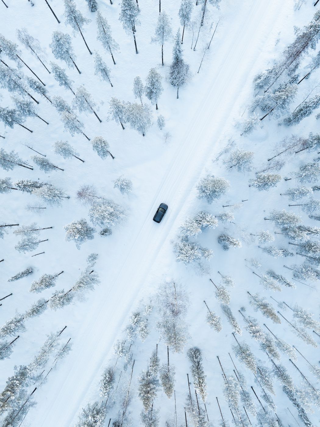 Nice road in the Finnish forest, Finland