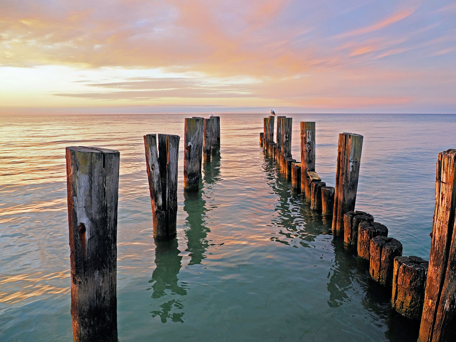 Old jetty, Zingst, Germany