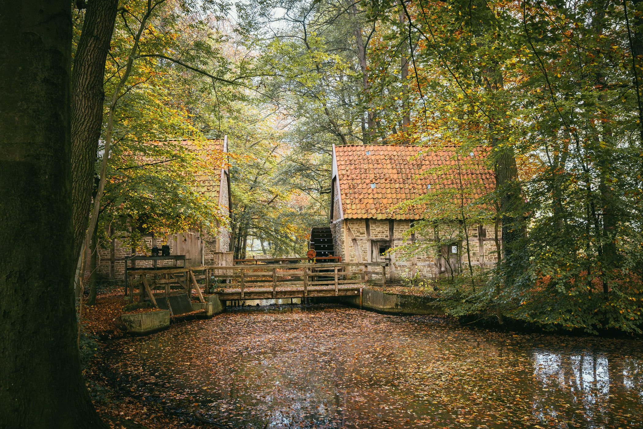 Overmeyers Mühle, Halverde, Germany