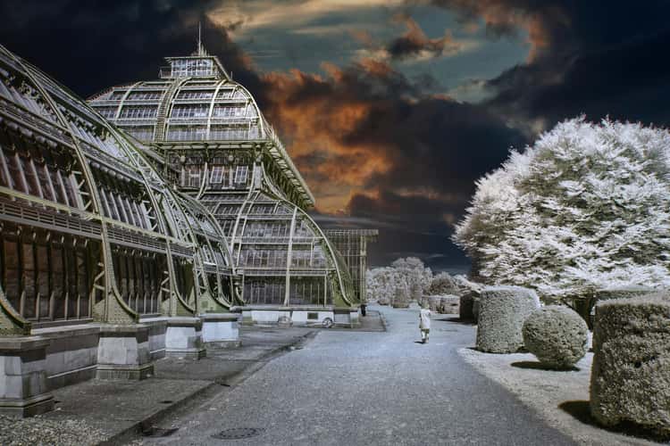 Palmenhaus Vienna Infrared