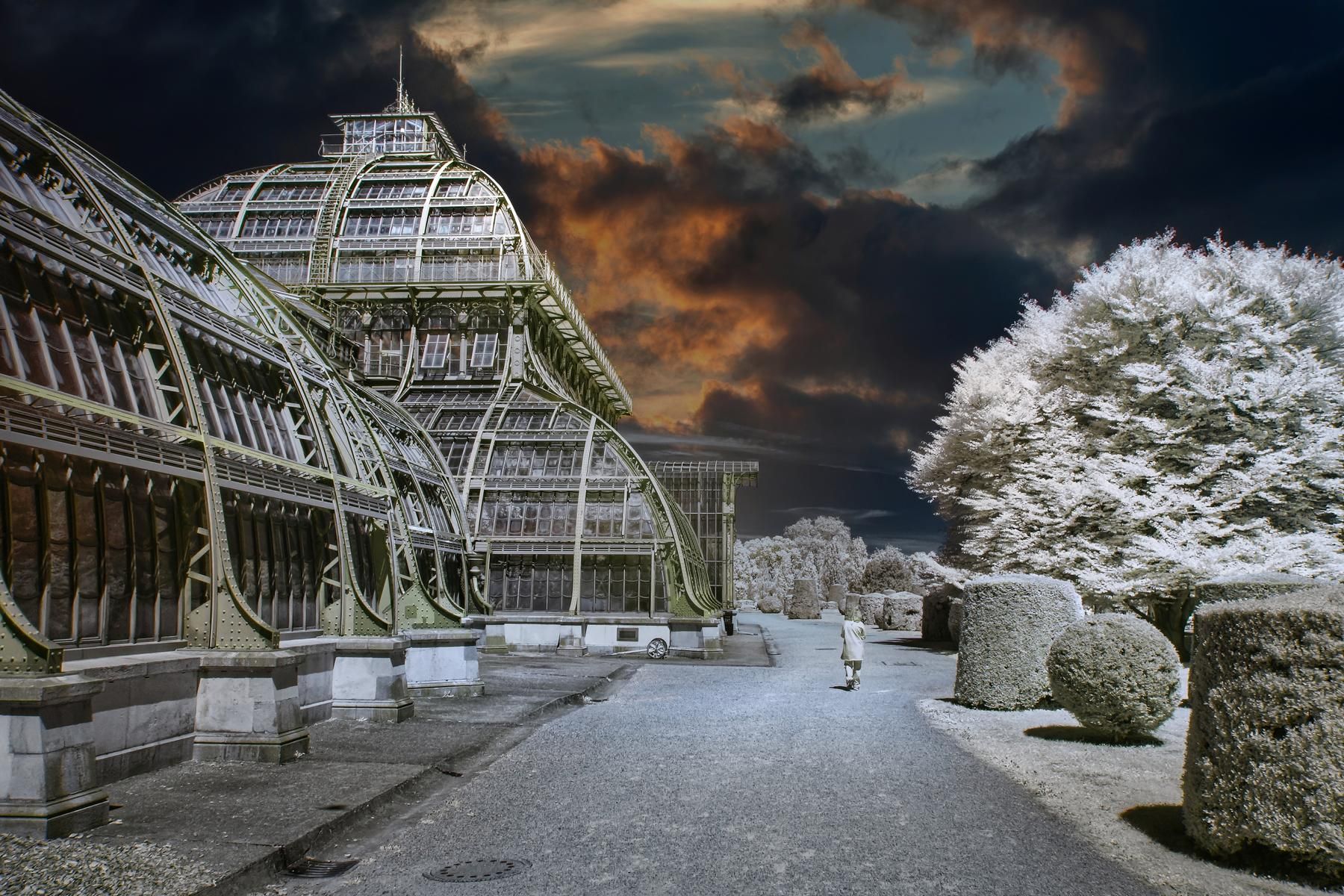Palmenhaus Vienna Infrared, Austria