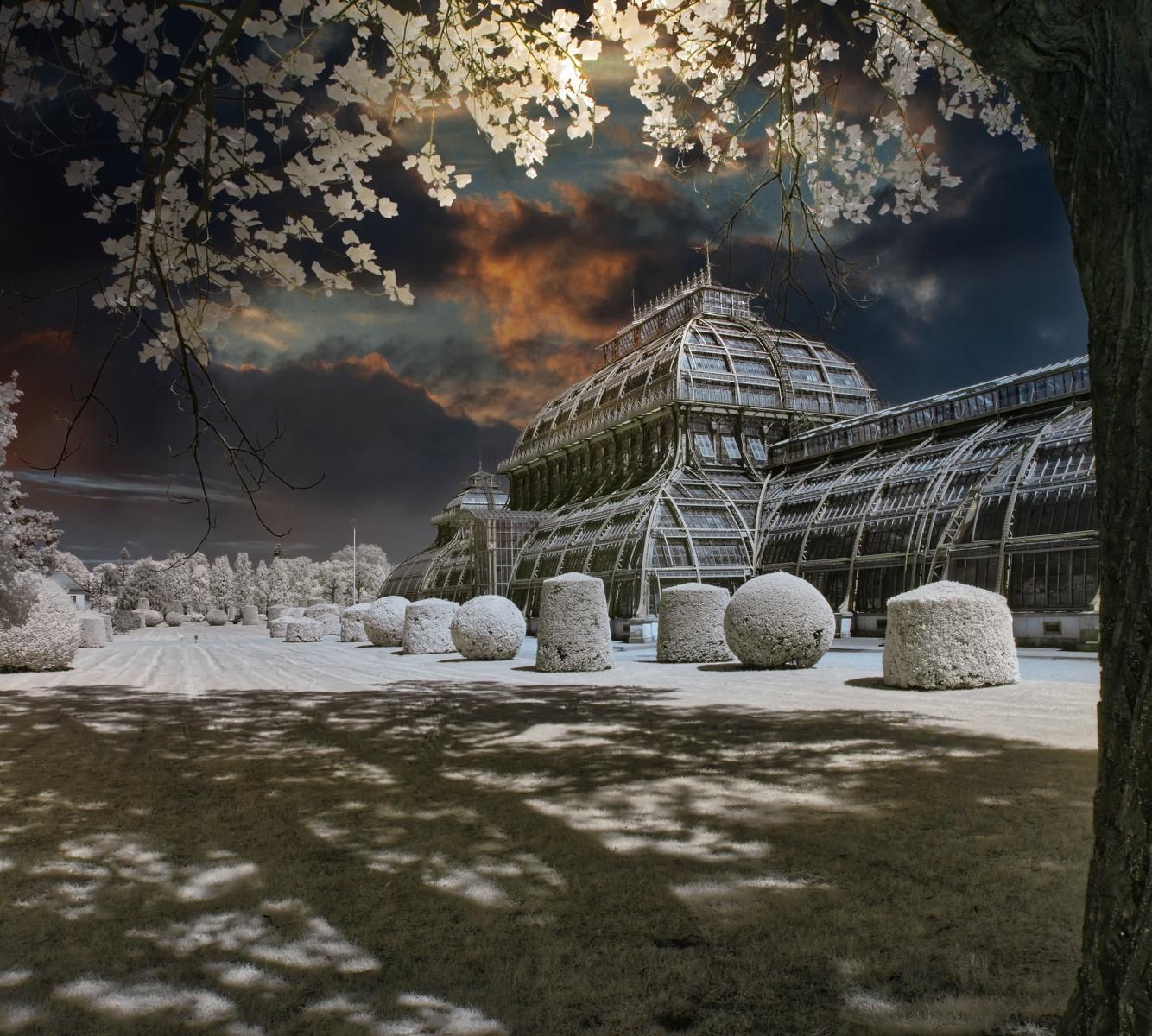 Palmenhaus Vienna Infrared, Austria