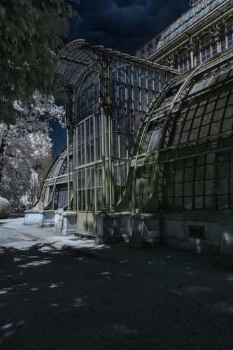 Palmenhaus Vienna Infrared