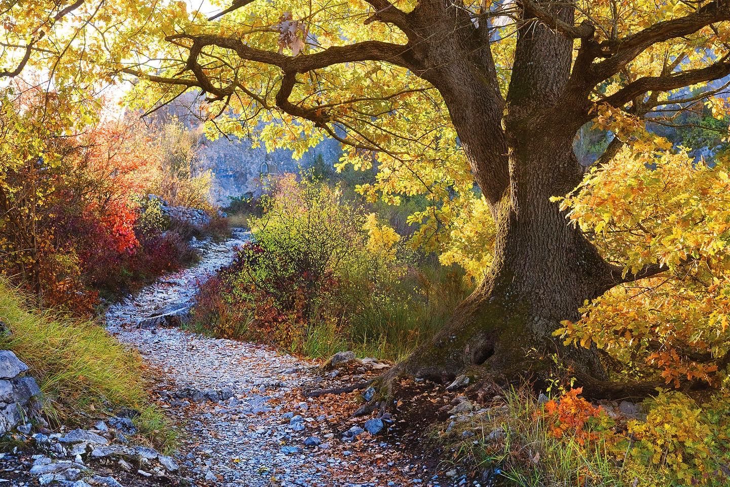 Path to the chapel  Notre Dame du Roc, France