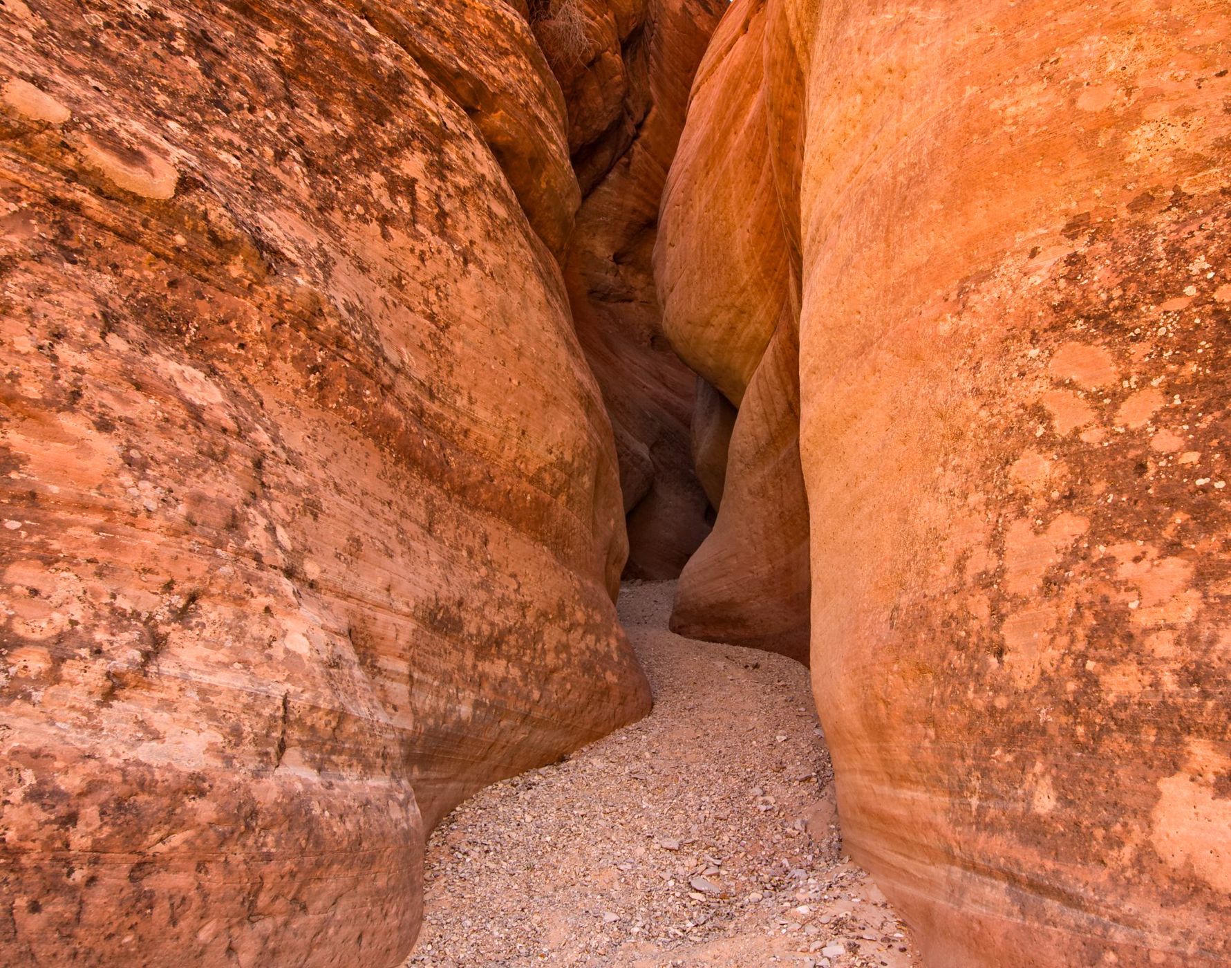 Peekaboo Canyon Kanab, USA