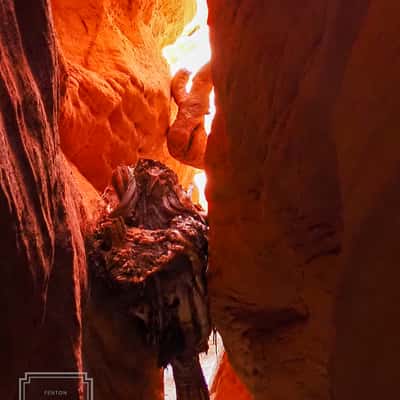 Peekaboo Canyon Kanab, USA