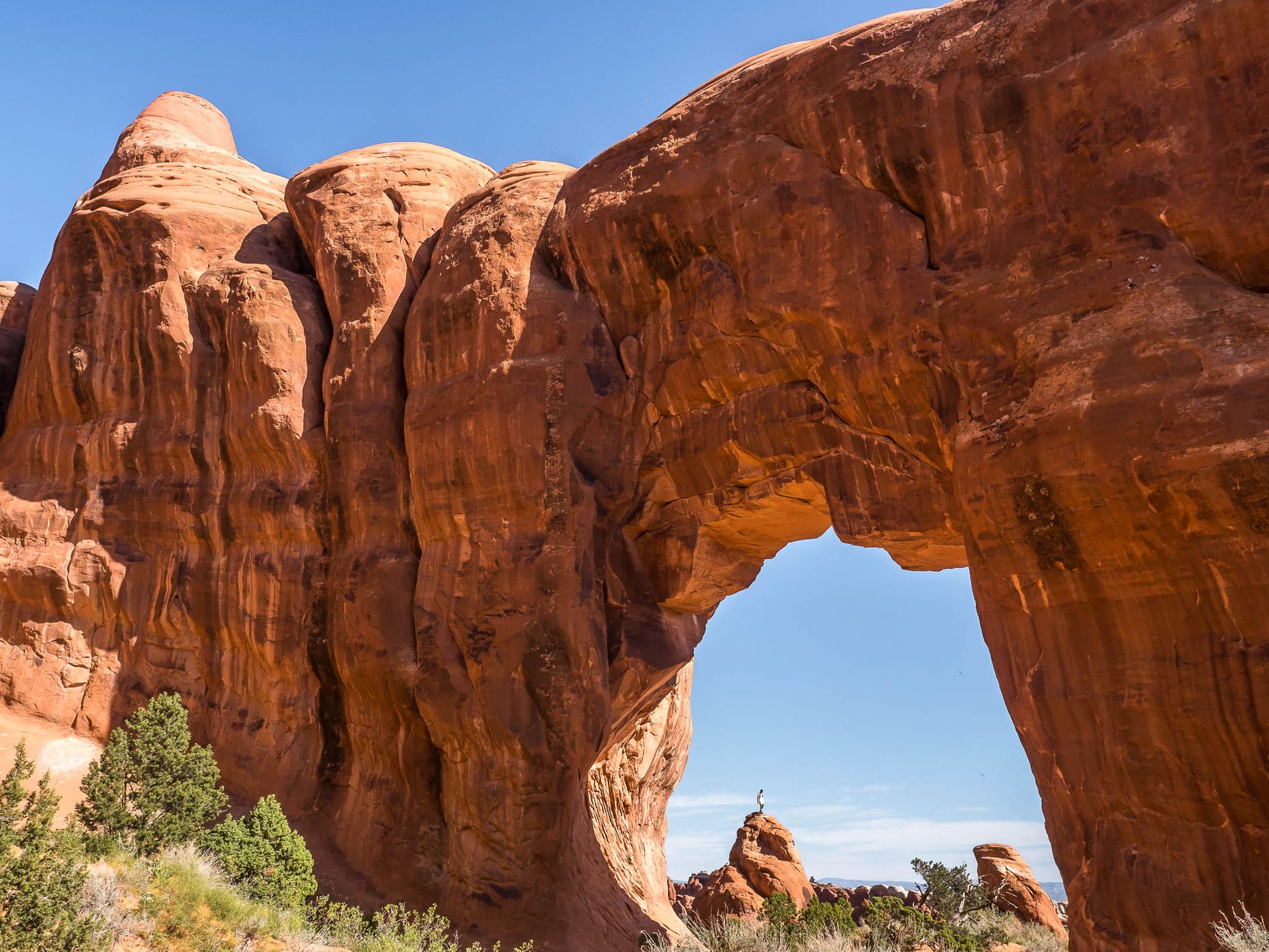 Pine Tree Arch, Arches National Park,Moab, Utah, USA