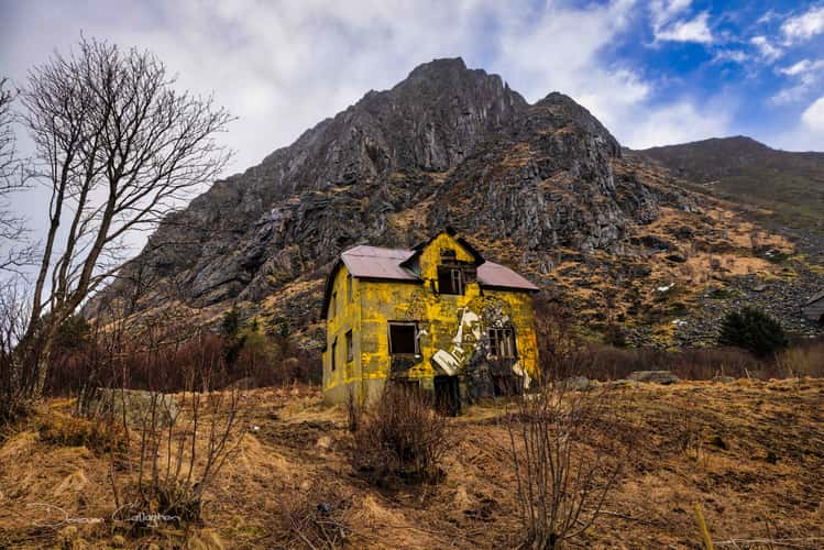 Pøbel Butterfly Street-Art, Lofoten
