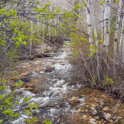 Pole Canyon Trail, USA