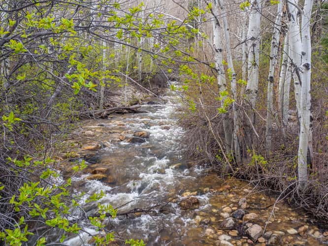 Pole Canyon Trail