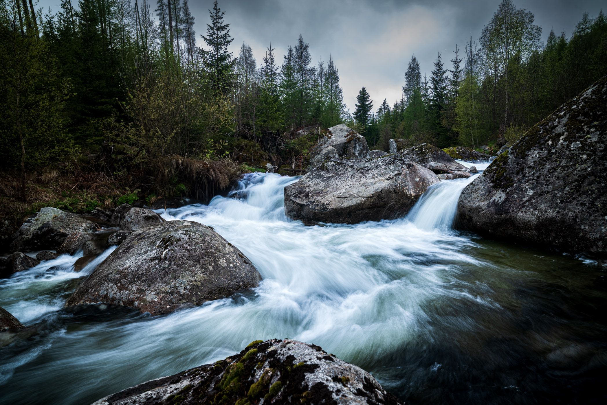 Poprad River, Slovakia (Slovak Republic)