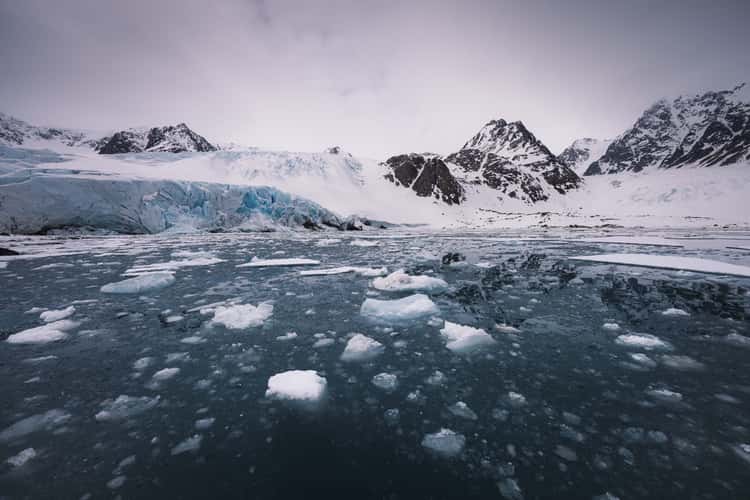Portierbreen