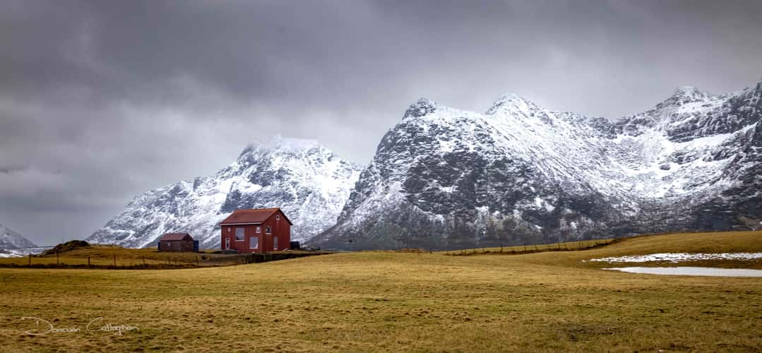 Red Hut Skagsanden Beach