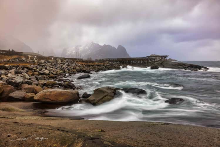 Reine, Hamnoy