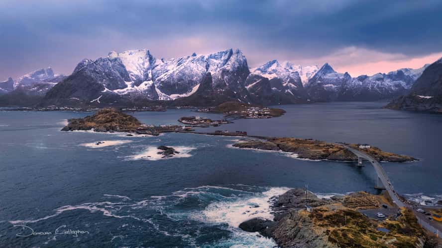 Reine, Harmony