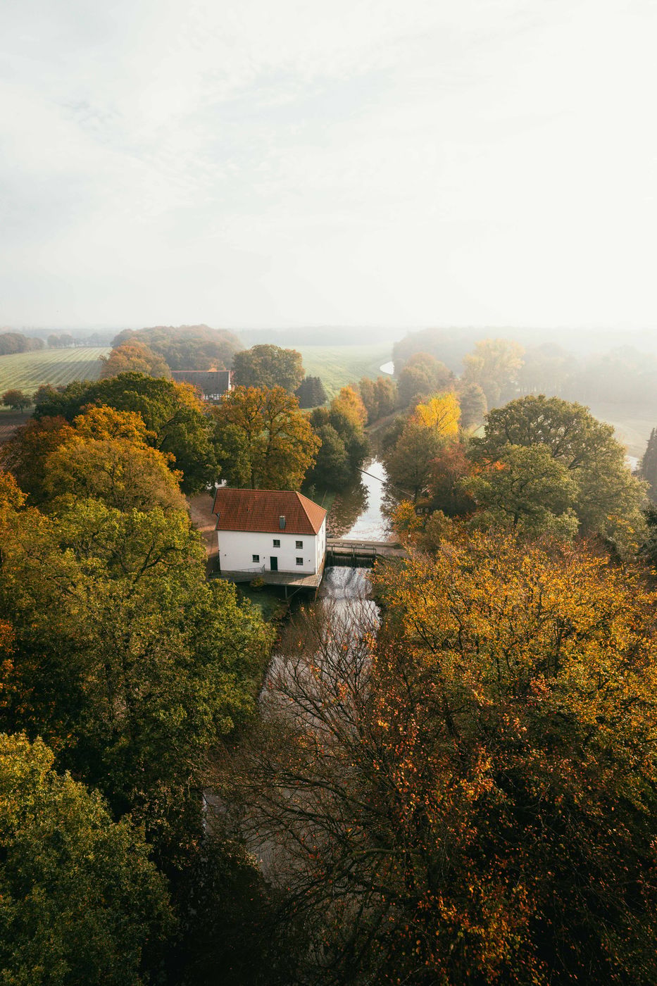Reinings Mühle, Dreierwalde, Germany