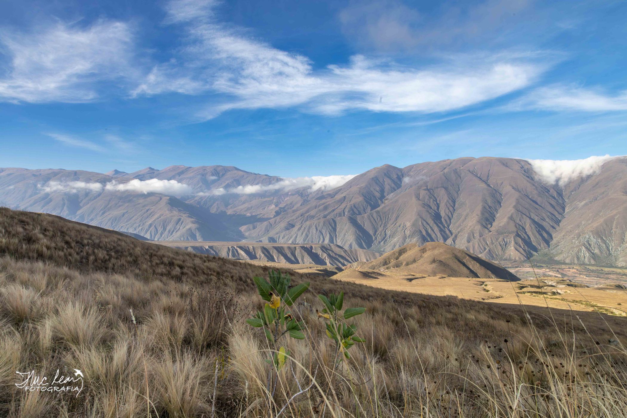 Reserva Las Tarucas, Argentina
