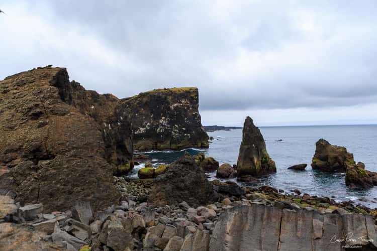 Reykjanes Coastline