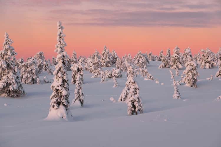 Riisitunturi National Park