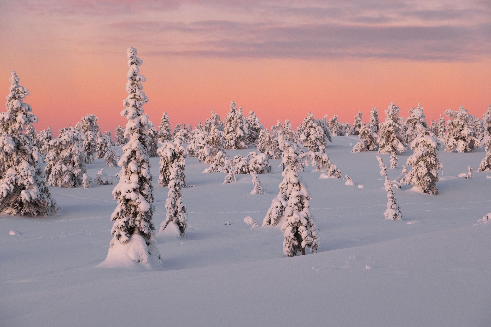 Riisitunturi National Park, Finland