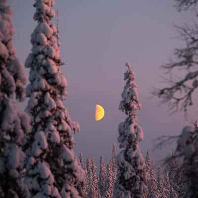 Riisitunturi National Park, Finland
