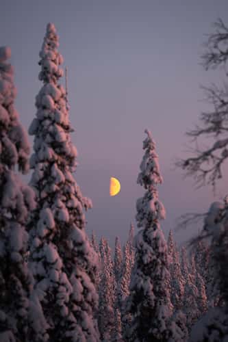 Riisitunturi National Park