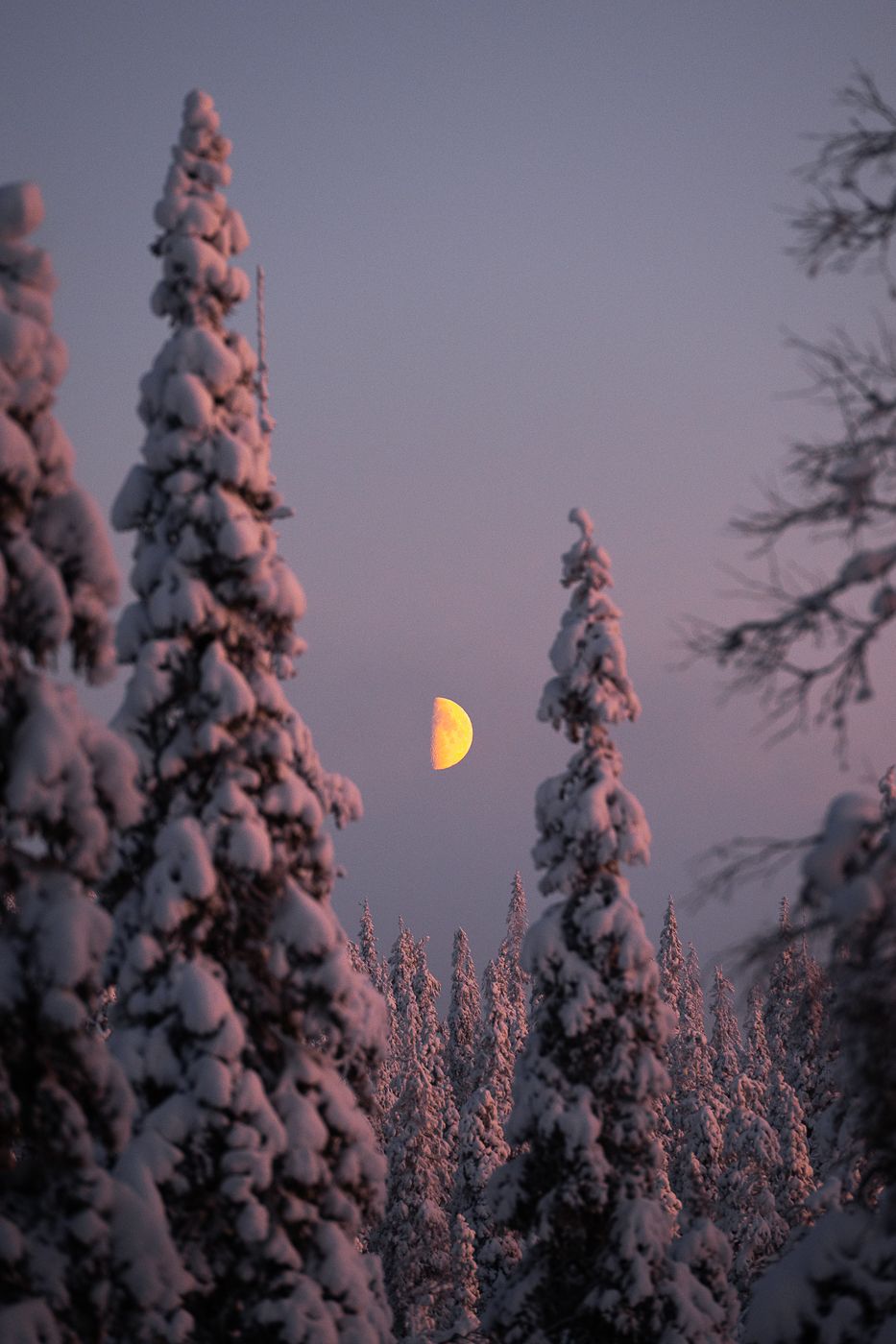 Riisitunturi National Park, Finland