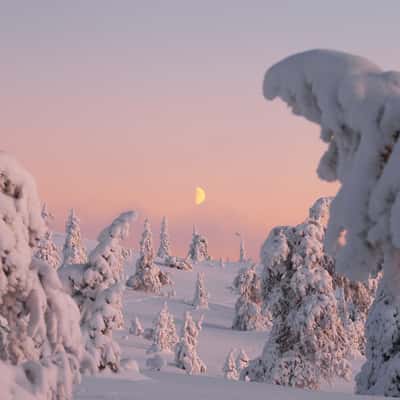 Riisitunturi National Park, Finland