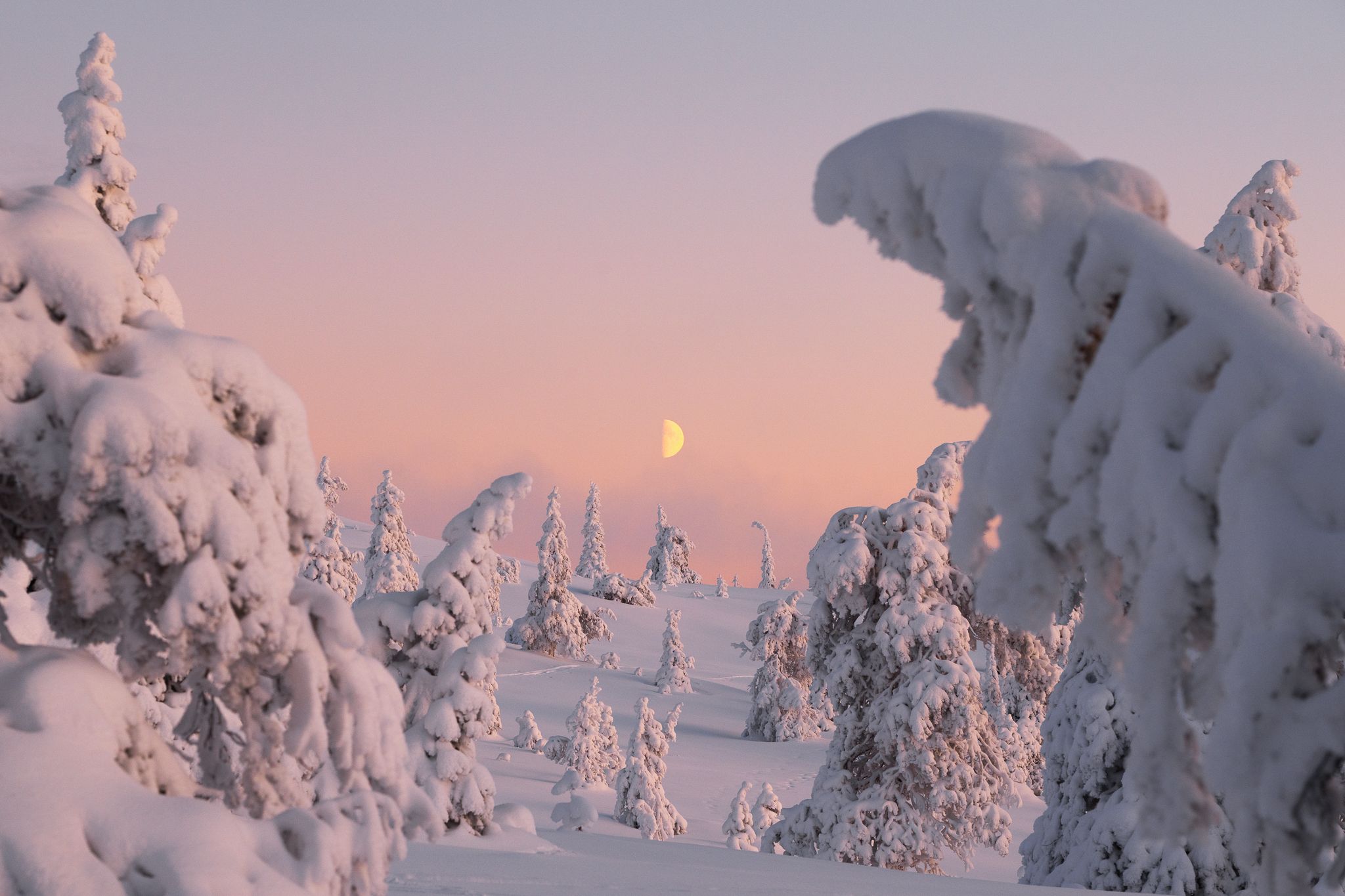 Riisitunturi National Park, Finland