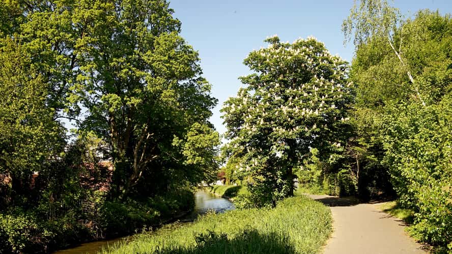 River Wurm