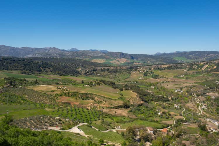 Ronda