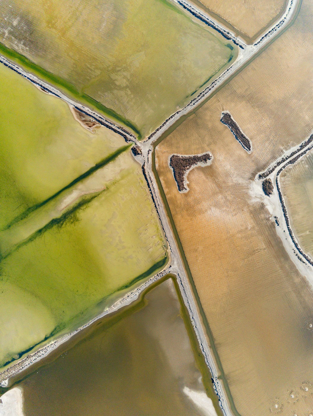 Salins de Giraud, France